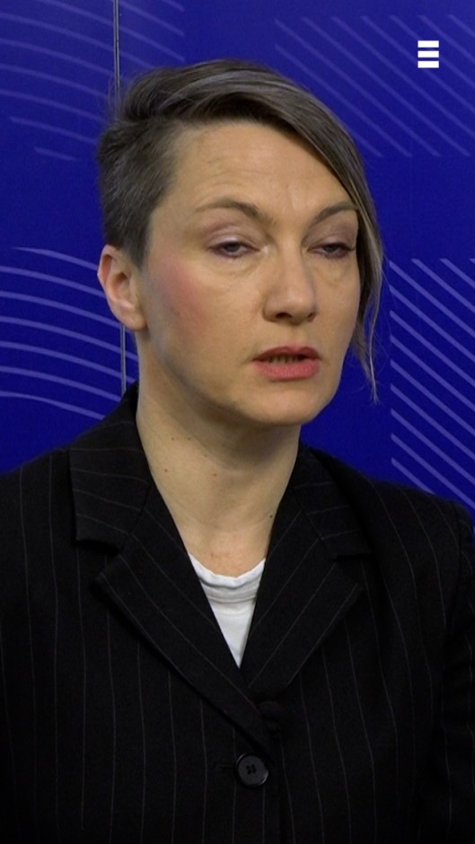 Neprijatelji države